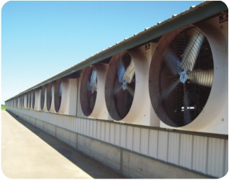 Schaefer FFM523S1-3 Is Designed For High Efficiency And Airflow